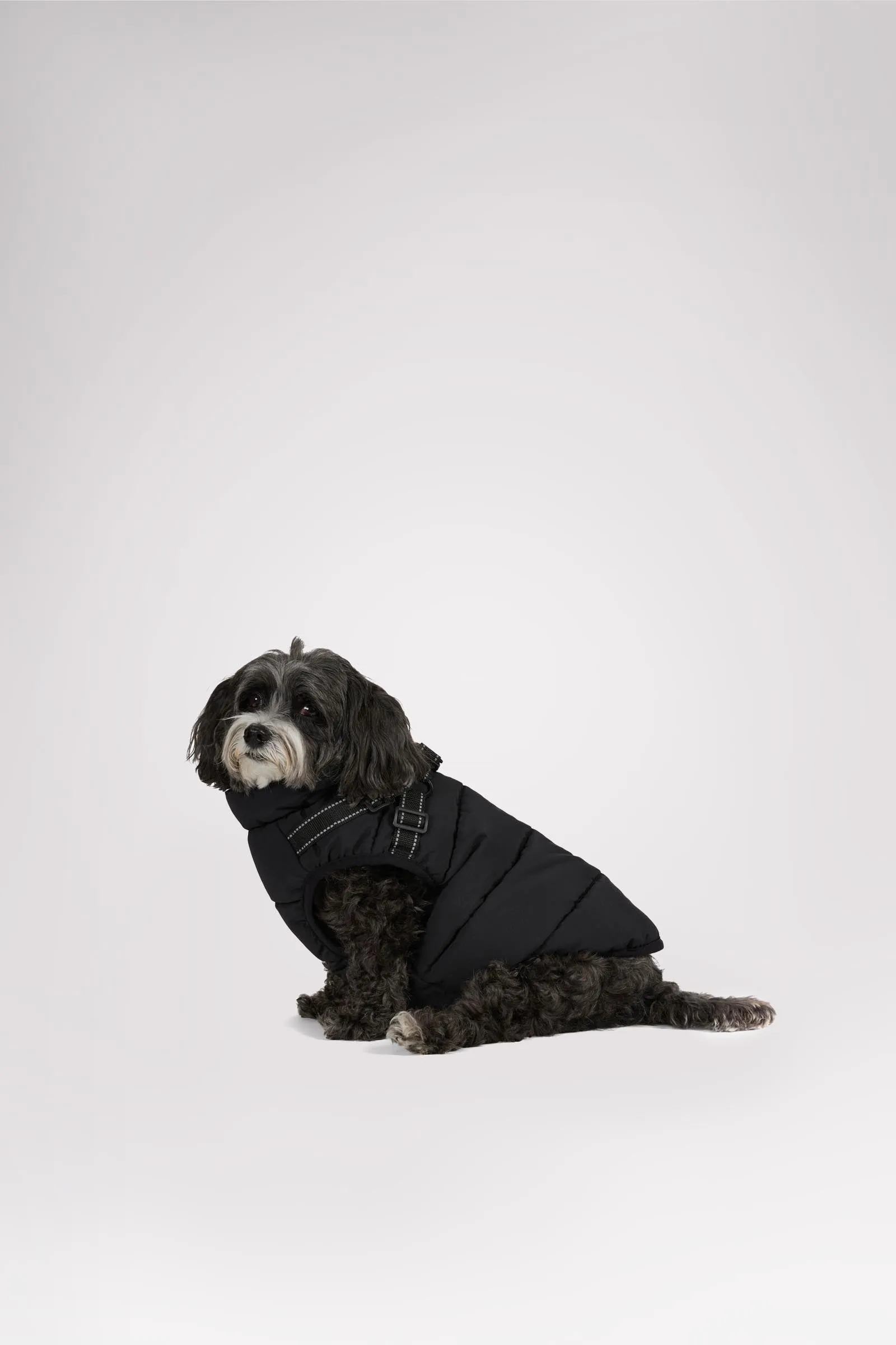 Atlas Puffer Jacket with Built-In Harness for Dogs