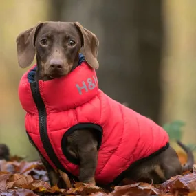 Hugo & Hudson Reversible Red & Navy Puffer Jacket