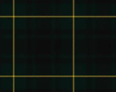 MacArthur Modern Light Weight Tartan Scarf