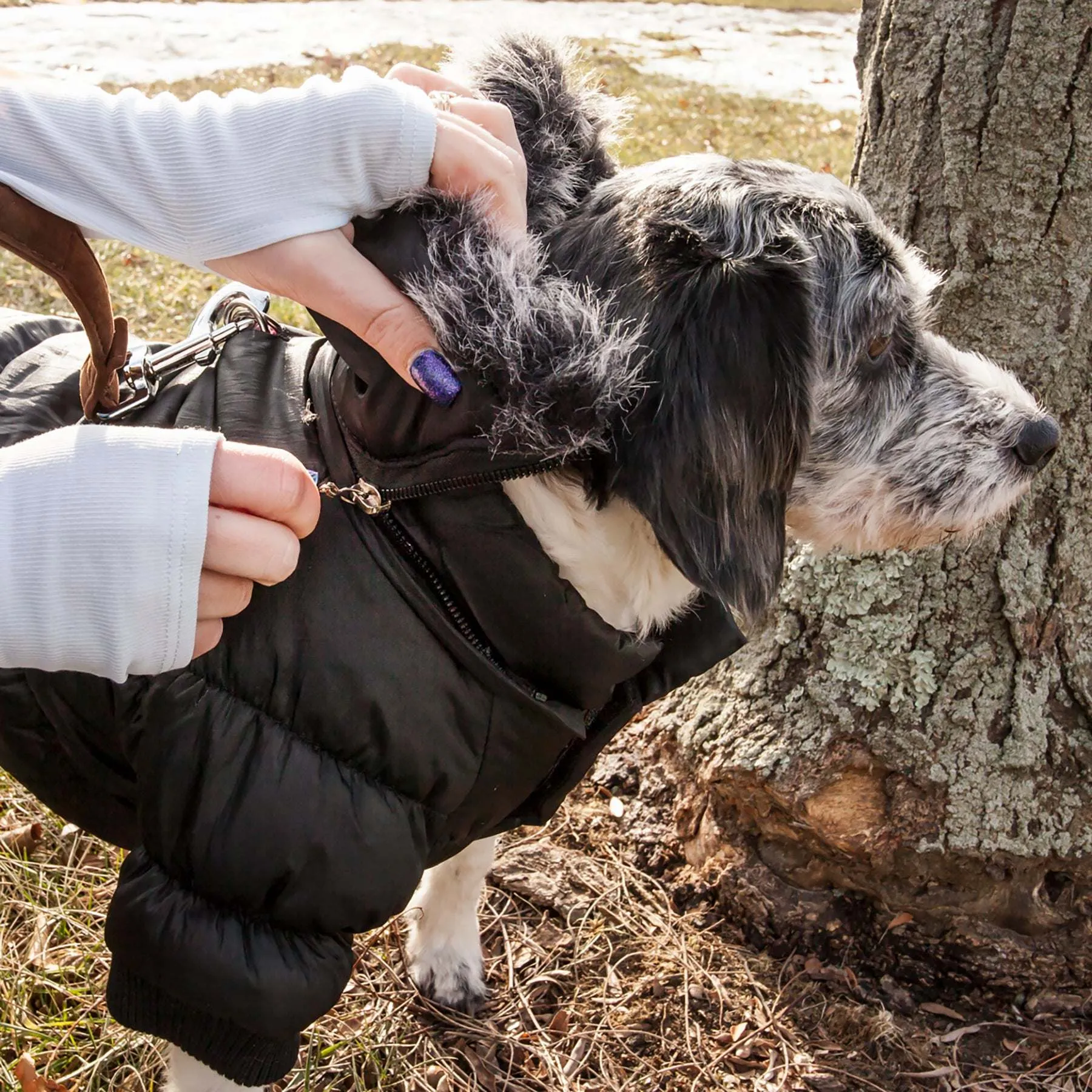 Metallic Pet Parka Coat Extras