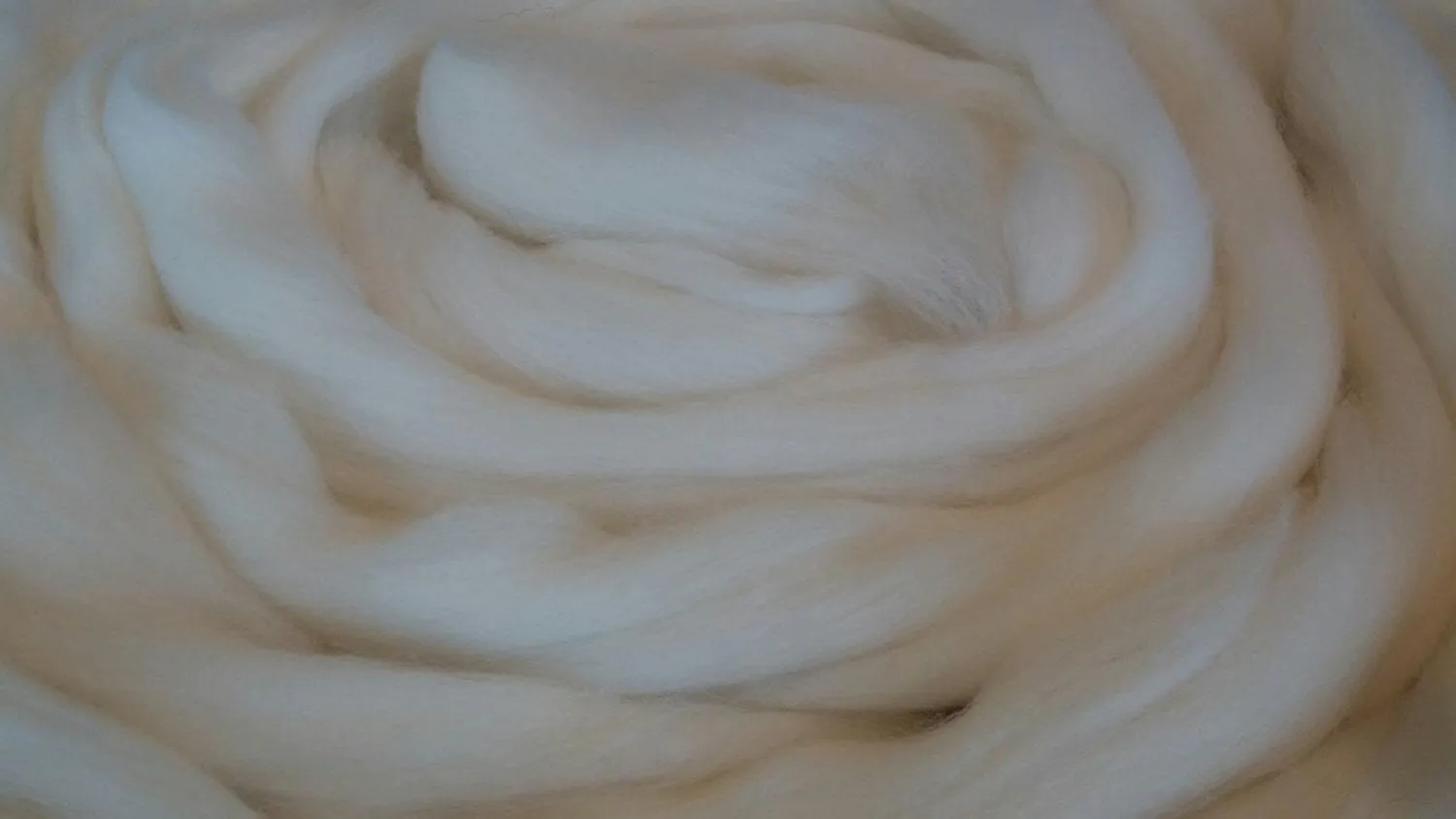 Spinning Wool  MERINO 23 mic Super Soft Wonderful handfeel a Joy to Spin into yarn!  Beginners and experianced Love our wool!