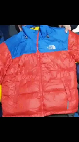 The North Face Puffer Jackets 550/600 Series